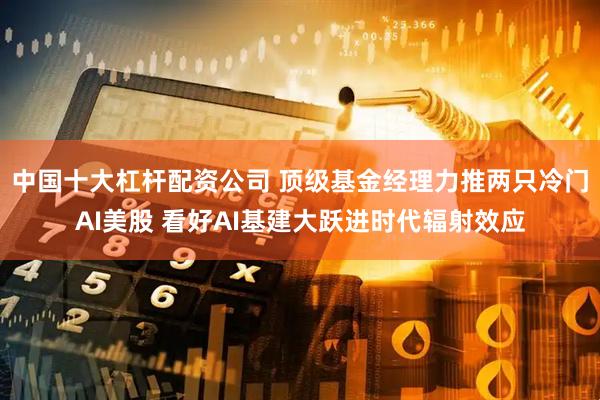 中国十大杠杆配资公司 顶级基金经理力推两只冷门AI美股 看好AI基建大跃进时代辐射效应