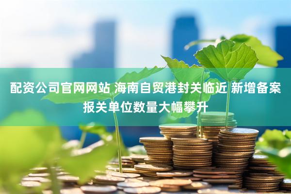 配资公司官网网站 海南自贸港封关临近 新增备案报关单位数量大幅攀升
