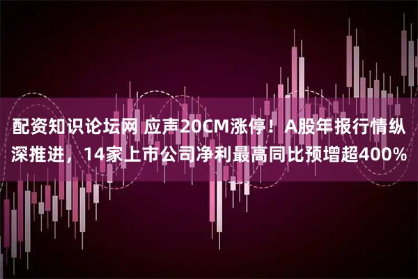 配资知识论坛网 应声20CM涨停！A股年报行情纵深推进，14家上市公司净利最高同比预增超400%