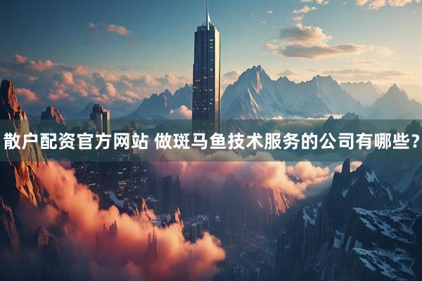 散户配资官方网站 做斑马鱼技术服务的公司有哪些？
